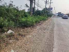  Grundstück zu verkaufen in Bang Pakong, Chachoengsao, Nong Chok