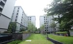 Communal Garden Area at Chapter One The Campus Kaset 