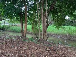  Land for sale in Tha Sala, Mueang Chiang Mai, Tha Sala
