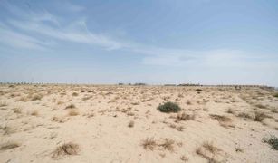Sahara Meadows, दुबई Saih Shuaib 2 में N/A भूमि बिक्री के लिए