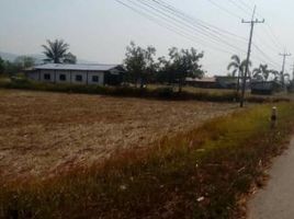  Grundstück zu verkaufen in Kaeng Khro, Chaiyaphum, Nong Sang