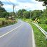  Land for sale in Choeng Thale, Thalang, Choeng Thale