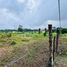  Land for sale in Limon, Pococi, Limon