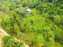  Земельный участок for sale in Koh Phangan, Сураттани, Ban Tai, Koh Phangan