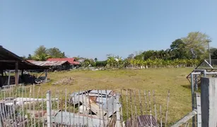 N/A Land for sale in Nong Yaeng, Chiang Mai 