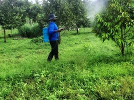  Grundstück zu verkaufen in Lom Sak, Phetchabun, Bung Namtao