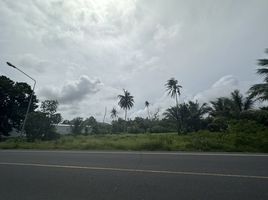  Land for sale in Phuket International Airport, Mai Khao, Mai Khao