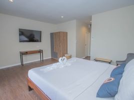 Studio Apartment for rent at RoomQuest The Peak Patong Hill , Patong