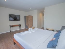 Studio Apartment for rent at RoomQuest The Peak Patong Hill , Patong, Kathu