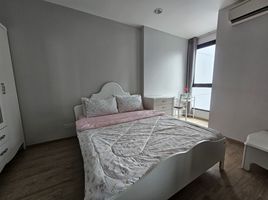 1 Schlafzimmer Wohnung zu vermieten im Ideo Q Ratchathewi, Thanon Phaya Thai, Ratchathewi, Bangkok