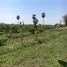 Grundstück zu verkaufen in Wichian Buri, Phetchabun, Phu Toei, Wichian Buri