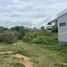  Grundstück zu verkaufen in Khao Noi, Hua Hin, Khao Noi, Pran Buri