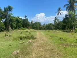  Land for sale in Santa Barbara De Samana, Samana, Santa Barbara De Samana