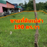  Земельный участок for sale in Si Sawang, Na Pho, Si Sawang