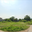  Land for sale in Ton Thong Chai, Mueang Lampang, Ton Thong Chai