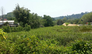 N/A Land for sale in Sakhu, Phuket 