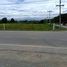  Land for sale in Phu Kradueng, Phu Kradueng, Phu Kradueng