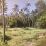  Land for sale in Koh Samui, Na Mueang, Koh Samui