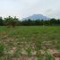  Land for sale in Chiang Dao, Chiang Mai, Mae Na, Chiang Dao