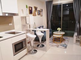 1 Bedroom Apartment for rent at The Riviera Jomtien, Nong Prue
