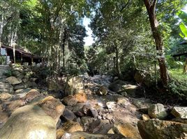  Grundstück zu verkaufen in Koh Samui, Surat Thani, Maenam