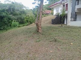 3 Schlafzimmer Haus zu verkaufen in Thalang, Phuket, Mai Khao