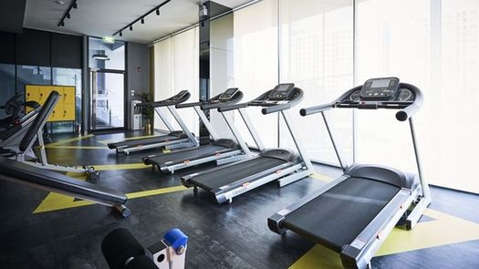 图片 1 of the Communal Gym at Plum Condo Ram 60 Interchange