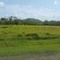  Land for sale in San Carlos, Panama Oeste, San Jose, San Carlos