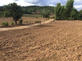  Grundstück zu verkaufen in Pai, Mae Hong Son, Wiang Nuea, Pai, Mae Hong Son