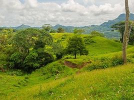  Grundstück zu verkaufen in Penonome, Cocle, Toabre, Penonome