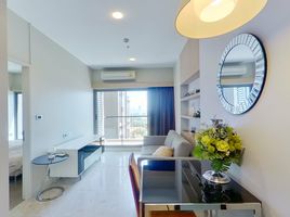 1 Schlafzimmer Wohnung zu vermieten im The Crest Sukhumvit 34, Khlong Tan