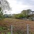  Land for sale in Phuket, Rawai, Phuket Town, Phuket