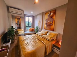 1 Schlafzimmer Appartement zu verkaufen im Zcape X2, Choeng Thale, Thalang