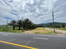  Grundstück zu verkaufen in Takua Thung, Phangnga, Krasom, Takua Thung