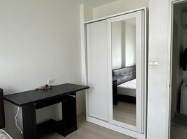 1 Schlafzimmer Wohnung zu vermieten im Aspire Sukhumvit 48, Phra Khanong