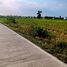 ขายที่ดิน ใน ลำลูกกา, ปทุมธานี, ลำลูกกา, ลำลูกกา