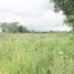  Land for sale in Chiang Rai, Rop Wiang, Mueang Chiang Rai, Chiang Rai