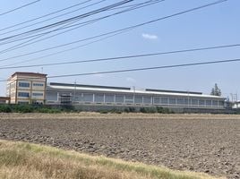  Warehouse for sale in Thailand, Bang Khwan, Mueang Chachoengsao, Chachoengsao, Thailand