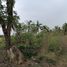  Land for sale in Nong Khanak, Tha Ruea, Nong Khanak