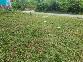  Land for sale in Koh Samui Surat Thani, Bo Phut, Koh Samui, Surat Thani, Thailand