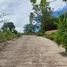  Land for sale in Laguna, Choeng Thale, Choeng Thale