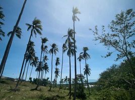  Land for sale in Surat Thani, Maenam, Koh Samui, Surat Thani