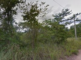  Land for sale in Surat Thani, Bo Phut, Koh Samui, Surat Thani