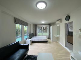 Studio Wohnung zu vermieten im D Condo Kathu-Patong, Kathu, Kathu