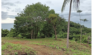 N/A Land for sale in Maenam, Koh Samui 