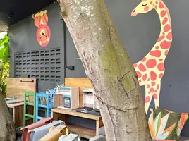 1 Bedroom Retail space for rent in Choeng Thale, Phuket, Choeng Thale, Thalang