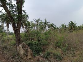 Land for sale in Nong Khanak, Tha Ruea, Nong Khanak
