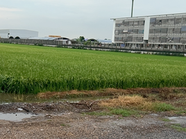  Grundstück zu verkaufen in Lam Luk Ka, Pathum Thani, Bueng Kham Phroi