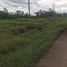  Land for sale in Na Kae, Nakhon Phanom, Phra Song, Na Kae