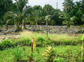  Land for sale in Thailand, Bang Chueak Nang, Taling Chan, Bangkok, Thailand